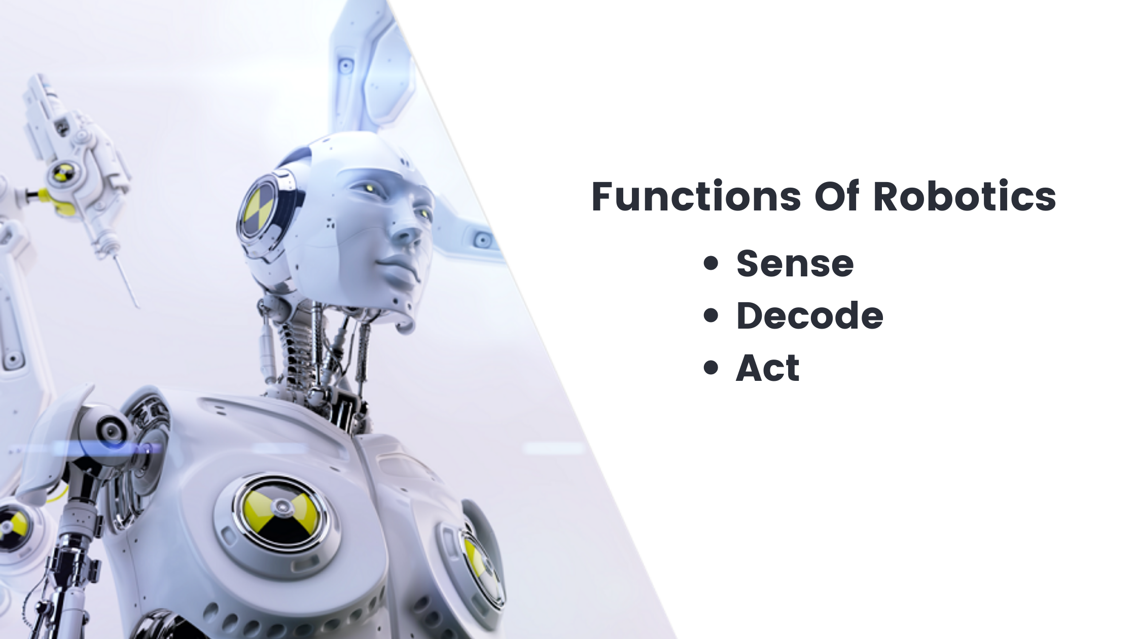 function of robotics